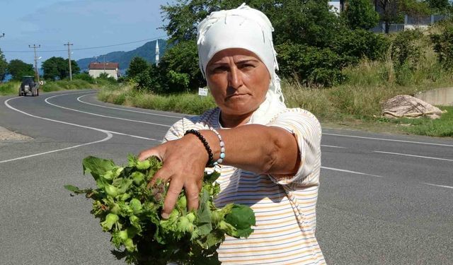 Taze fındık tezgahlarda 200 lira