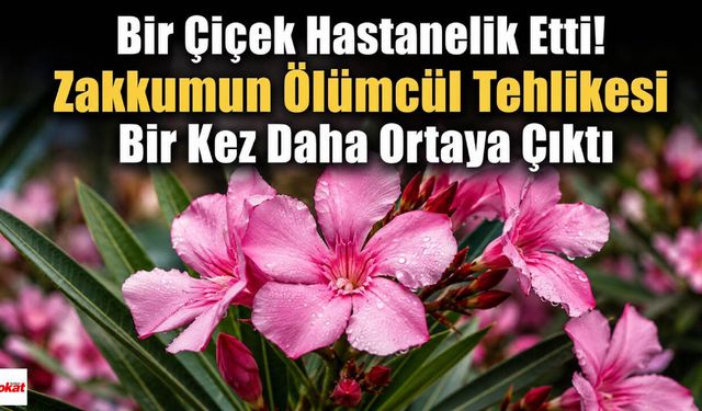 Bir Çiçek Hastanelik Etti! Zakkumun Ölümcül Tehlikesi Bir Kez Daha Ortaya Çıktı
