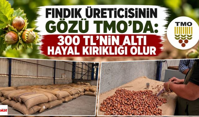 Fındık Üreticisinin Gözü TMO'da: 300 TL'nin Altı Hayal Kırıklığı Olur