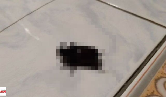 Tokat'ın Ardından Bu Kez Nevşehir'de Görüldü!