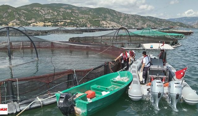 Jandarma Almus'ta 24 Saat Nöbette: Kaçak Avcılık ve Yangın Tehlikesi Gündemde