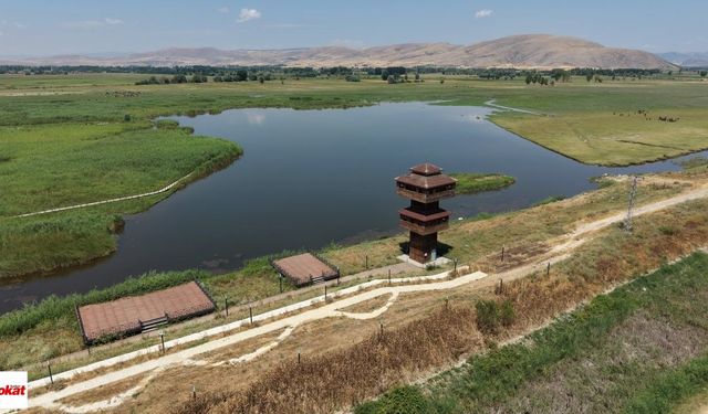 Tokat'ın Doğa Cenneti Yıllardır Sessiz: 5 Yıllık Bekleyiş Sürüyor