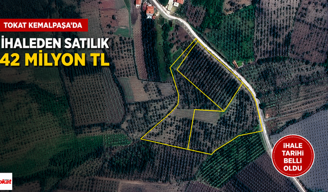 Tokat'ta 42 Milyon TL'lik Meyve Bahçesi İhaleyle Satışa Çıkıyor