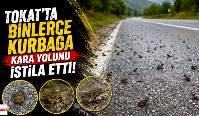 Tokat'ta görülen doğa olayının sırrı ne?