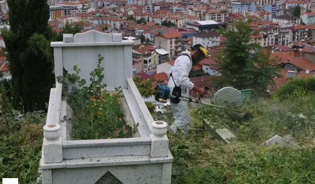 Tokat’ta Mezarlıklarda Yaz Bakımı Hız Kesmeden Sürüyor