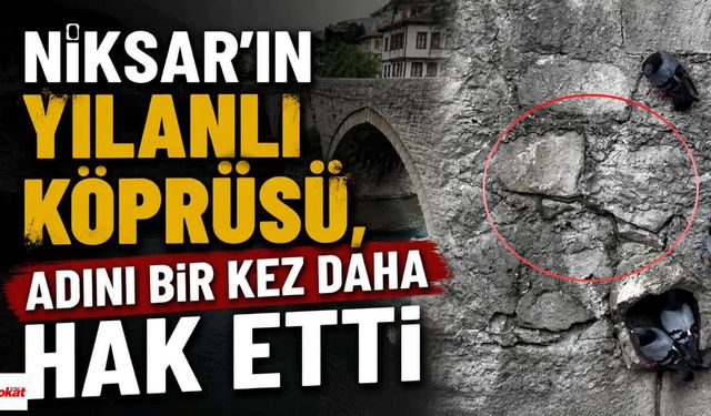 Niksar’ın Yılanlı Köprüsü, Adını Bir Kez Daha Hak Etti