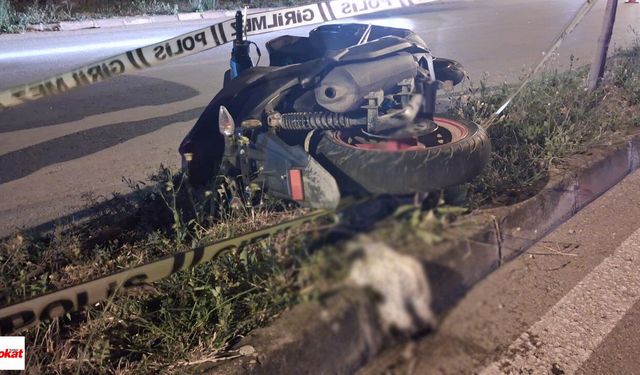 Niksar'da Kediye Çarpmamak İçin Manevra Yapan Motosikletli Kaza Yaptı: 1 Ağır Yaralı