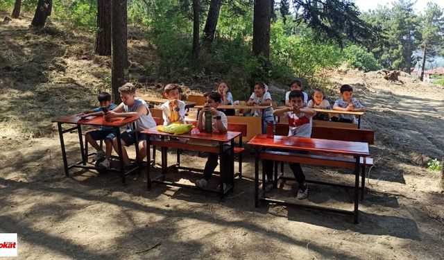 Niksar'da Çocuklar Tabiatta Kur'an Öğrenip Eğleniyor
