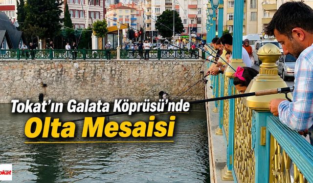 Tokat'ın Galata Köprüsü'nde Olta Mesaisi
