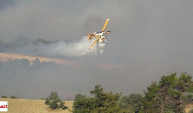 Orman Yangınlarında Son Durum: 110 Noktada Tehlike Sona Erdi