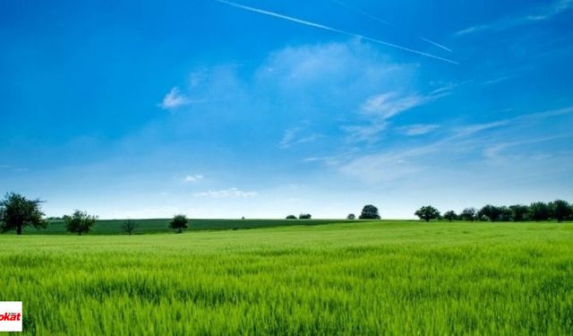 Taşınmaz Kiralama ve Sınırlı Gayri Ayni Hak Tesisi (İrtifak Hakkı) Verilmesi İlanı