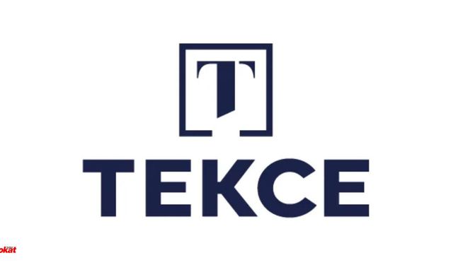 TEKCE Gayrimenkul ile Profesyonel Süreç: Emlak Danışmanıyla mı, Kendi Başınıza mı Ev Satmalısınız?