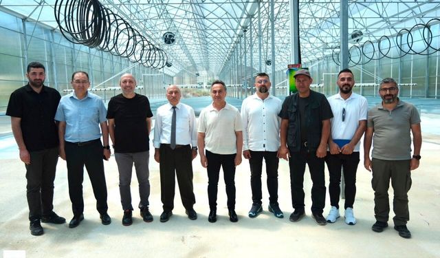 Milli Patates Çeşitleri TOGÜ'de Çoğaltılacak: Yeni Tesiste Üretim Başlıyor