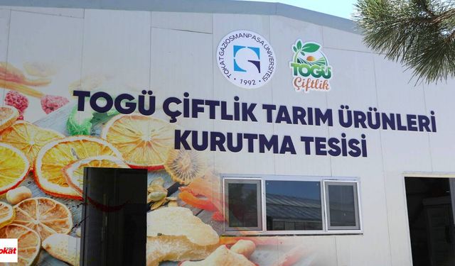 Tokat'ta Çiftçilere Önemli Çağrı: Üniversitenin Kurutma Tesisi Kapılarını Üreticiye Açıyor