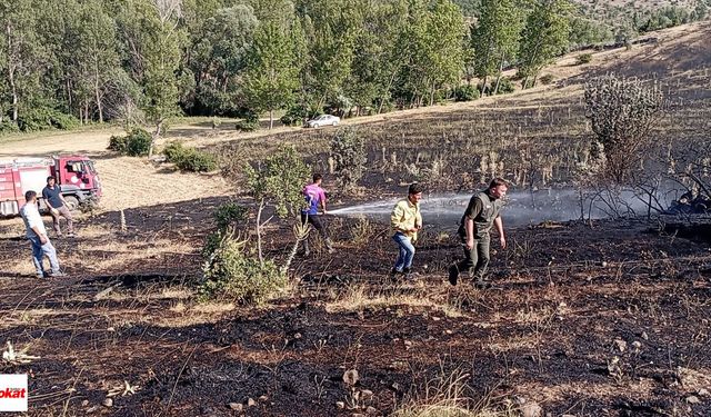 Tokat'ta Korkutan Yangın! Alevler Ekili Arazilere Sıçradı