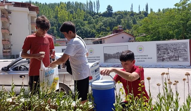 36 Derece Sıcakta Örnek Girişimcilik: Niksarlı Gençler Harçlıklarını Limonata Satarak Çıkarıyor