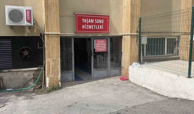 Kene bir can daha aldı: Kurban sayısı 12'ye yükseldi
