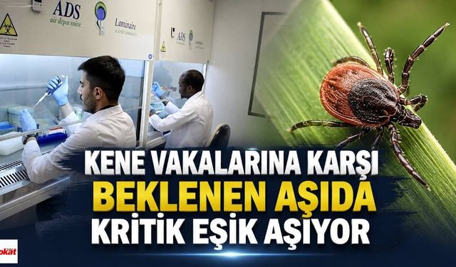 Kene Vakalarına Karşı Beklenen Aşıda Kritik Eşik Aşılıyor