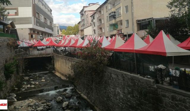 Niksar Ayvaz Su Fest Başlıyor!