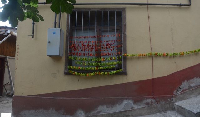 Niksar’da Pencereler Renklendi