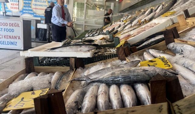 Karadeniz’den Bereket Sinyali: Palamut ve Hamsi Oltalara Vurmaya Başladı