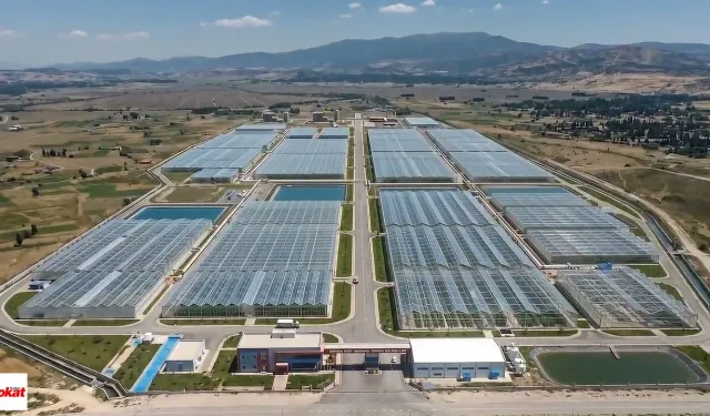 En Büyük Jeotermal Sera Geliyor 1885 Dekar 17 Modern Sera 8 Sanayi Tesisi Var 1500 Kişiye İstihdam Yıllık 3 Milyarı Var