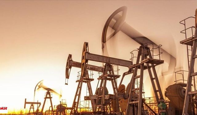 Bu Şehirde Varil Varil Petrol Üretilecek Gabar'ı Üçe Katlayacak Yatay Sondajla Kayaların Arasından Çıkarılacak