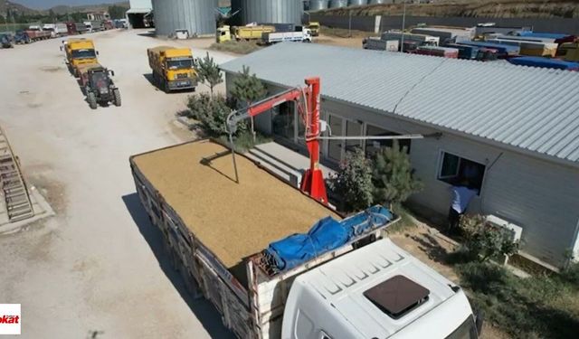 TMO’dan Üreticiye 120 Milyar Liralık Ödeme: Hububat Alımı 11,5 Milyon Tona Ulaştı