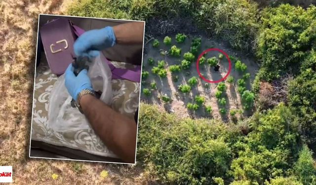 Tokat dahil 28 ilde uyuşturucu operasyonu: 69 tutuklama