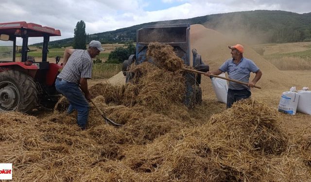 Tokat'ta Sıcak Havada Tozlu Mesai Asırlık Patos Geleneği Devam Ediyor