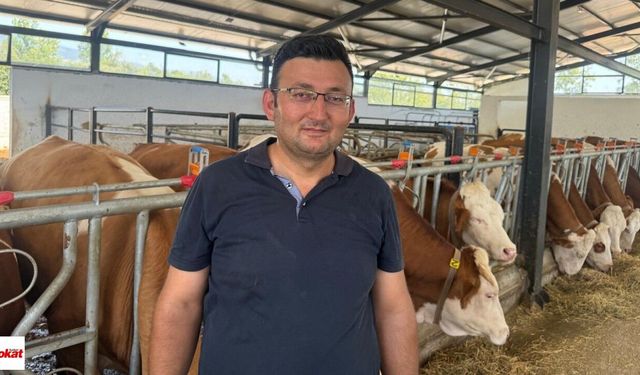Tokatlı Besici 9 Milyon Liralık Hibe Aldı, Hayvan Sayısını 3 Katına Çıkardı