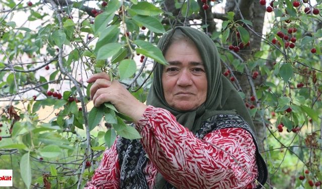 İlham veren kadın girişimciler ödüllendirilecek