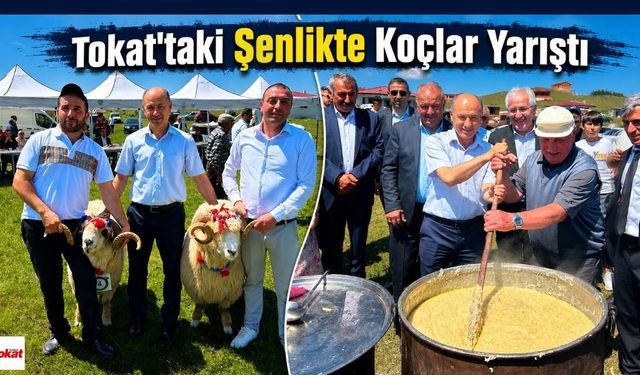 Tokat'taki Şenlikte Koçlar Yarıştı