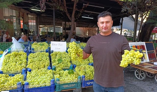 Bağlardan Taze Toplandı, Ayağının Tozuyla Tezgaha İndi! Niksar Yerli Üzümünde İlk Fiyat Belli Oldu
