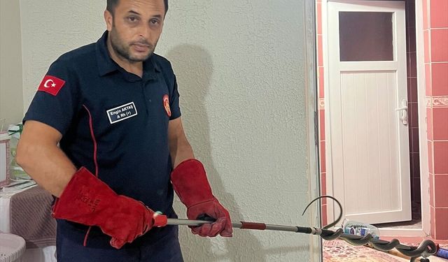 Tokat'ta eve giren yılan itfaiye ekipleri tarafından yakalandı