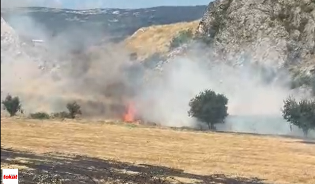 Tokat’ta Alevler Otluk Alanı Sardı:Ekipler Seferber Oldu