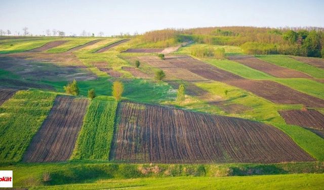 Zile Milli Emlak Şefliği'nden Taşınmaz Satış ve Kiralama İlanı