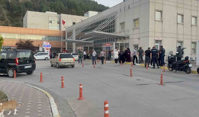 Tokat'ta hayvan otlatma meselesi silahlı kavgaya dönüştü