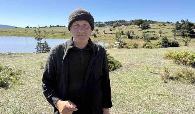 Tokat'ta karşılaştığı manzara şoke etti; 10 mandası ile eşeğini parçalanmış şekilde buldu