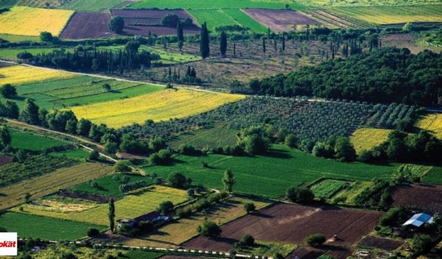 Çamlıbel Belediye Başkanlığı'ndan Taşınmaz Satış İlanı