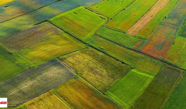 Çamlıbel Belediye Başkanlığı'ndan Arsa Satış İlanı