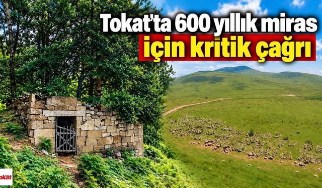 Tokat’ta 600 yıllık miras için kritik çağrı: Türbe ve tarihî mezarlık koruma bekliyor