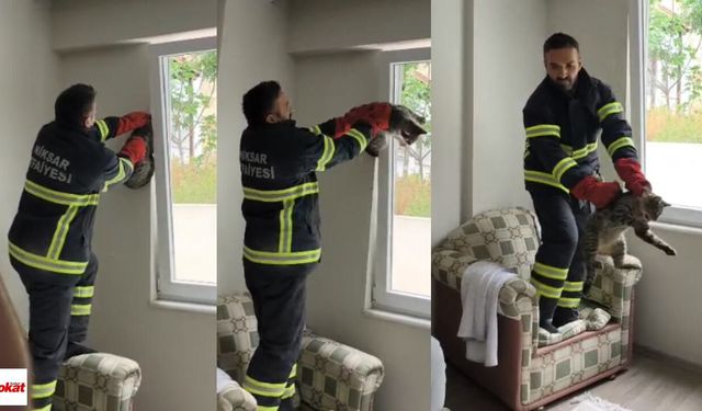 Haylaz Kedinin İmdadına İtfaiye Ekipleri Yetişti