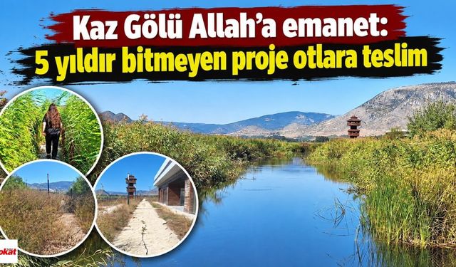 Kaz Gölü Allah’a emanet: 5 yıldır bitmeyen proje otlara teslim