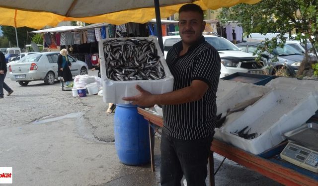 Niksar’da 200 Liralık Hamsi Akşam Olmadan Tükendi Tezgâhlar Boşaldı