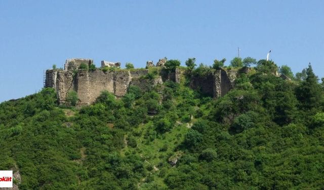 Niksar’ın tarihi mirası ayağa kaldırılacak: İlk hedef riskli surlar