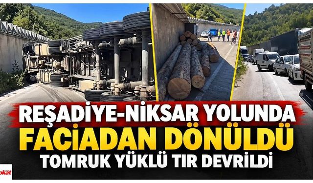Reşadiye-Niksar yolunda faciadan dönüldü: Tomruk yüklü tır devrildi
