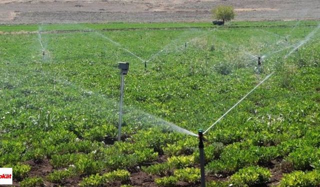 Tokatlı üreticilerin beklediği liste yayımlandı: 5 gün askıda kalacak, son tarih 28 Eylül