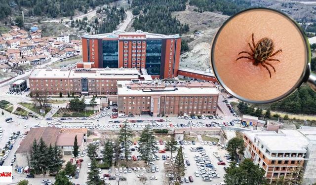 Tokat’ta kene alarmı: KKKA teşhisi konulan çocuk hastaneye kaldırıldı