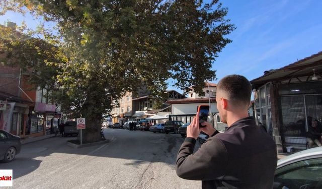 Tokat’ta 142 Yıllık Çınarın Ürperten Hikâyesi: Darağacı mıydı?